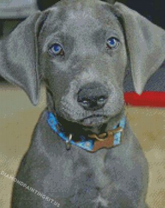 Aesthetic Gray Great Dane Puppy Diamond Paintings