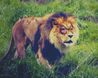 Aesthetic Lion With Butterfly Diamond Paintings