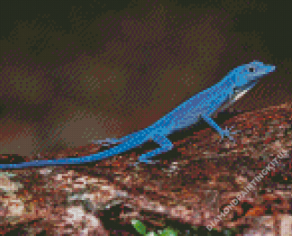 Aesthetic Blue Lizard Diamond Paintings