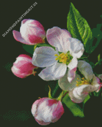 Apple Blossom Flower Diamond Paintings
