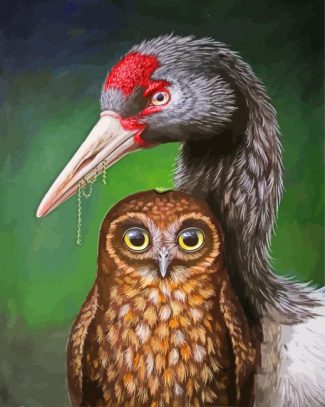 Black Necked Crane And Owl Diamond Paintings