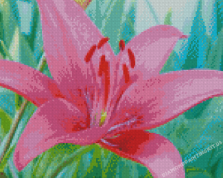 Blooming Pink Lily Flower Diamond Paintings