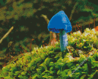 Blue Mushroom Diamond Paintings