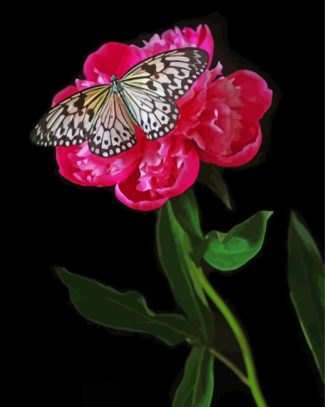 Butterfly On Peony Diamond Paintings
