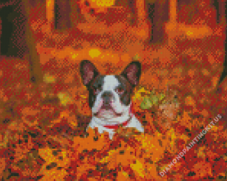 Dog In Autumn Diamond Paintings