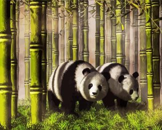 Pandas In Bamboo Forest Diamond Paintings