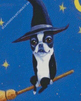 Aesthetic Boston Terrier Witch Diamond Paintings