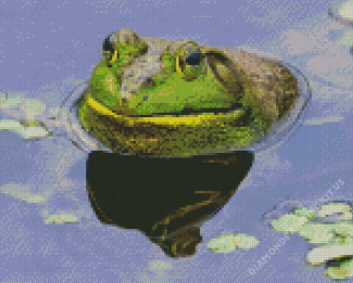 Aesthetic Bull Frog Diamond Paintings