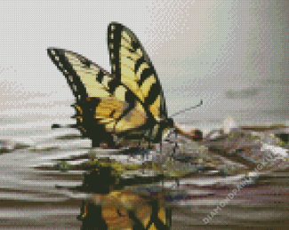 Aesthetic Butterfly On Water Diamond Paintings
