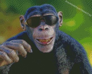 Aesthetic Monkey Wearing Glasses Diamond Paintings