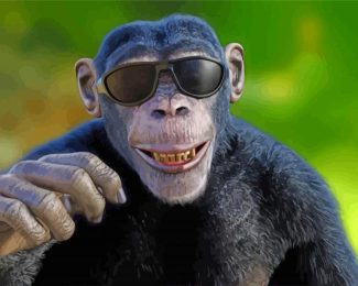 Aesthetic Monkey Wearing Glasses Diamond Paintings