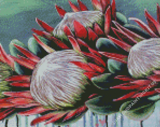 Aesthetic Protea Plant Diamond Paintings