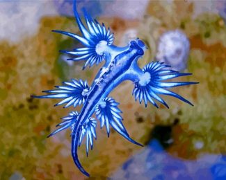 Aesthetic Sea Slug Diamond Paintings