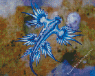 Aesthetic Sea Slug Diamond Paintings