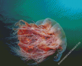 Aesthetic Big Jellyfish Diamond Paintings