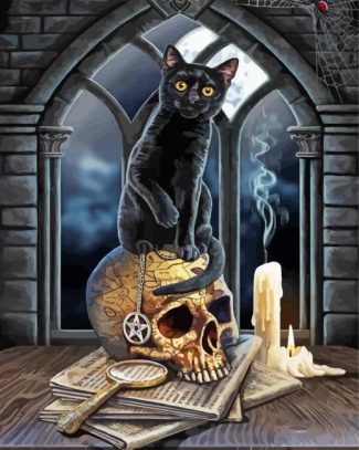 Aesthetic Black Cat And Skull Diamond Paintings