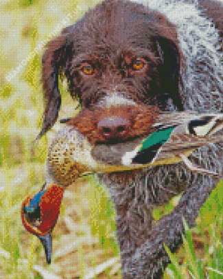 Aesthetic Pheasant Hunting Dog Diamond Paintings