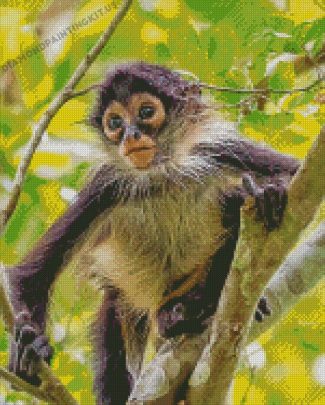 Baby Spider Monkey On Tree Diamond Paintings