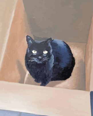 Black Cat In A Box Diamond Paintings