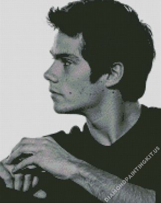 Black And White Dylan Obrien Actor Diamond Paintings