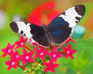 Black And White Butterfly On Pink Flowers Diamond Paintings