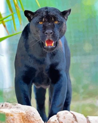 Black Jaguar Animal Diamond Paintings
