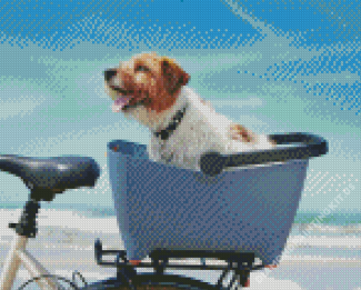 Dog With Bicycle At The Beach Diamond Paintings