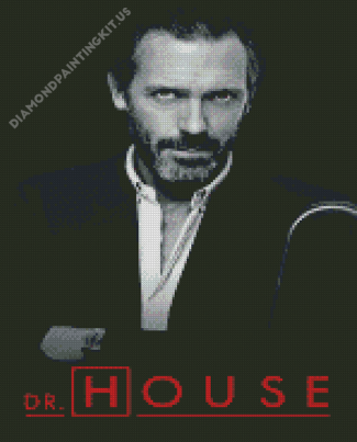 Dr House Poster Diamond Paintings