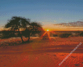 Kalahari Desert At Sunrise Landscape Diamond Paintings