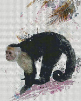 White Troated Capuchin Monkey Art Diamond Paintings