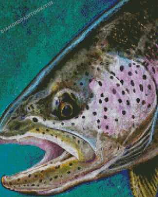 Abstract Steelhead Fish Diamond Paintings
