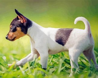 Aesthetic Miniature Fox Terrier Diamond Paintings