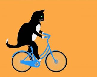 Aesthetic Cat On Bicycle Diamond Paintings
