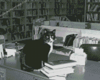 Black And White Cat Library Diamond Paintings