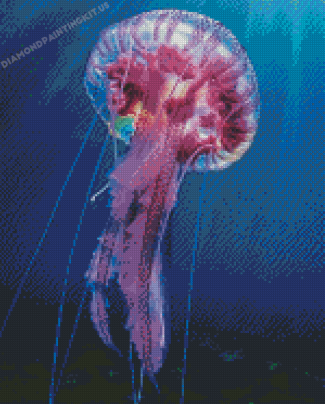 Blue And Purple Jellyfish Underwater Diamond Paintings