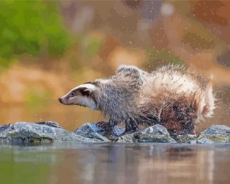 Badger By Water Diamond Paintings
