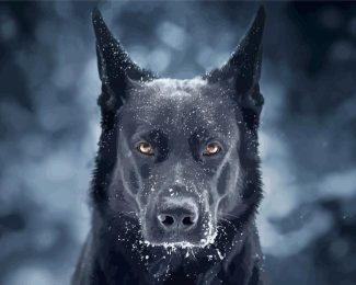 Black German Shepherd In Snow Diamond Paintings