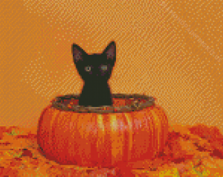 Pumpkin Cute Black Kitten Diamond Paintings