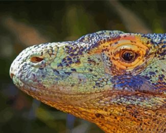 Komodo Dragon Lizard Animal Diamond Paintings