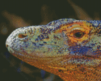 Komodo Dragon Lizard Animal Diamond Paintings