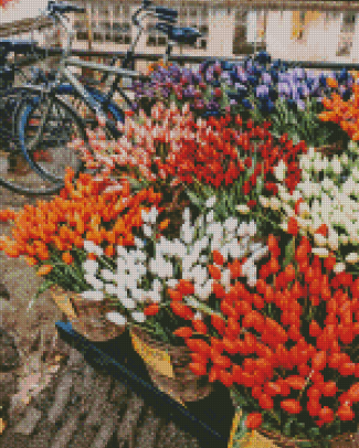 Bicycle And Colorful Tulips Diamond Paintings