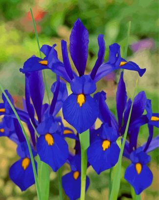 Bloom Blue Irises Flowers Diamond Paintings