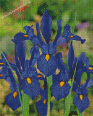 Bloom Blue Irises Flowers Diamond Paintings
