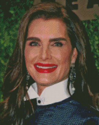 Brooke Shields With Red Lipstick Diamond Paintings