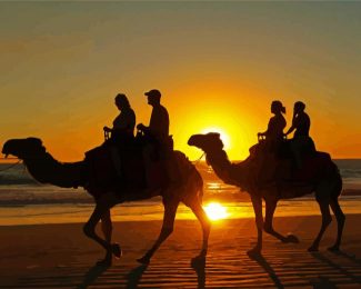 Camel Ride On The Beach Diamond Paintings