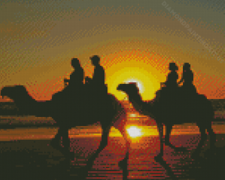 Camel Ride On The Beach Diamond Paintings