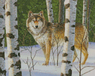 Wolf Among Birches Trees Forest Diamond Paintings