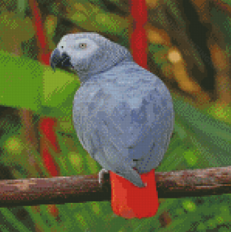 Aesthetic African Gray Parrot Diamond Paintings
