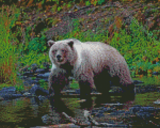 Aesthetic Bear by Stream Diamond Paintings