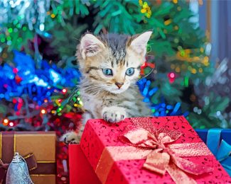 Aesthetic Cat Christmas Diamond Paintings
